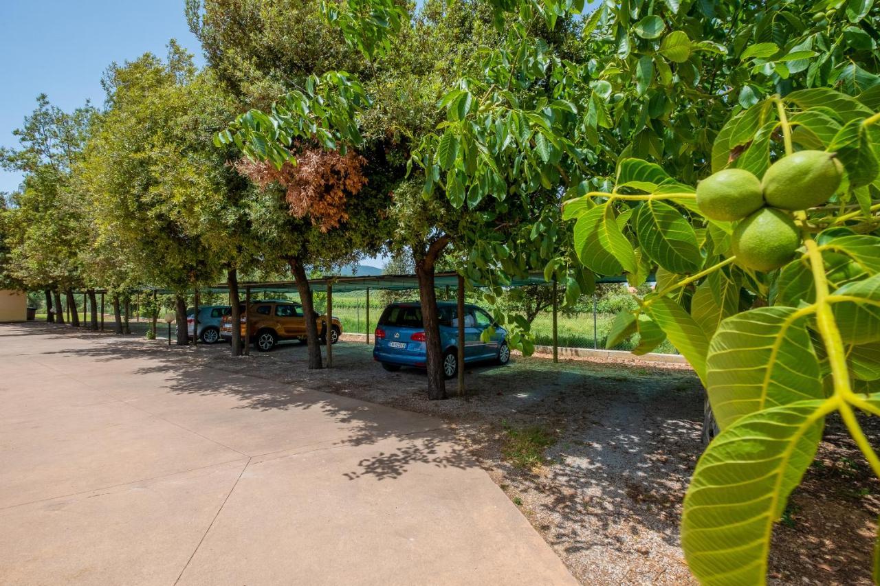 Agriturismo La Fata Γκροσέτο Εξωτερικό φωτογραφία