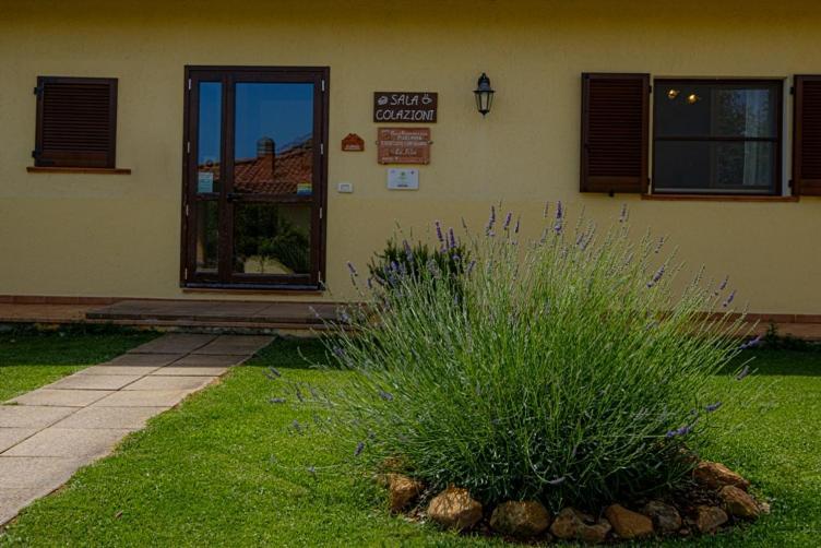 Agriturismo La Fata Γκροσέτο Εξωτερικό φωτογραφία